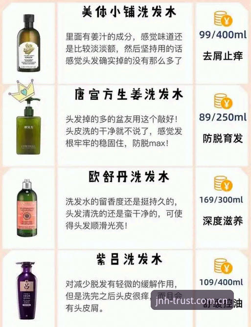 老用户亲测：今年会官方下载地址最新获取方式与使用心得
